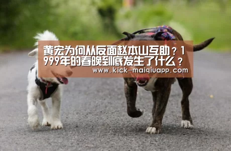黄宏为何从反面赵本山互助?1999年的春晚到底发生了什么?_买球app(图3) 买球app
